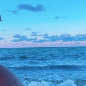 Meet your Posher, Trinity